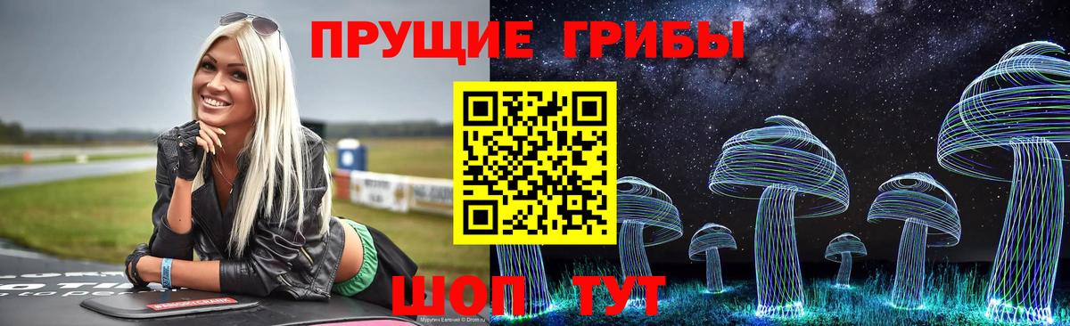 Псилоцибиновые грибы прущие грибы Тавда