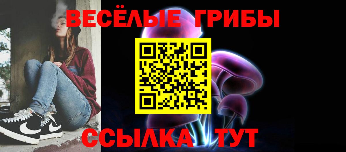 Псилоцибиновые грибы ЛСД  Вход с VPN  где купить наркотик  Тавда 